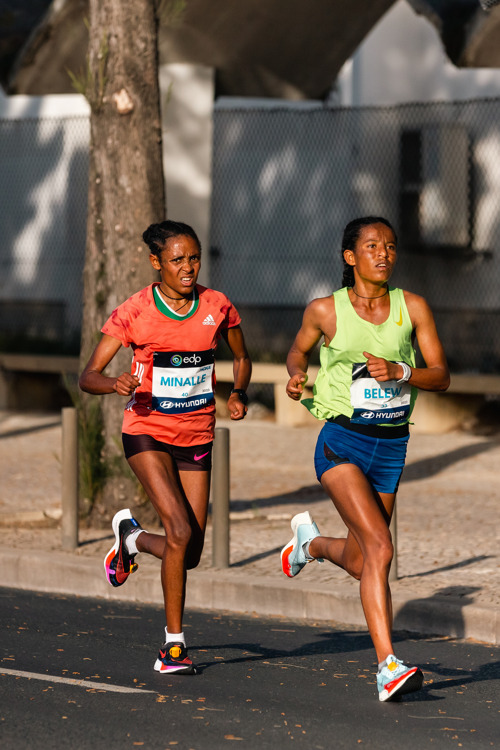 EDP Lisbon Marathon & Luso Half Marathon