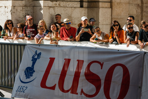 EDP Lisbon Marathon & Luso Half Marathon