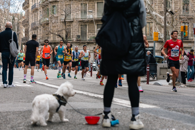 Zurich Marató Barcelona